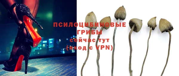 дживик Алексеевка