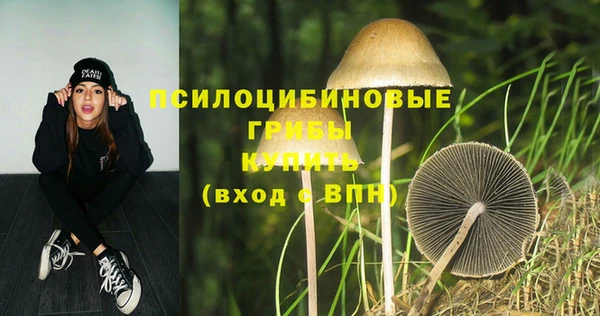 молекула духа Алзамай