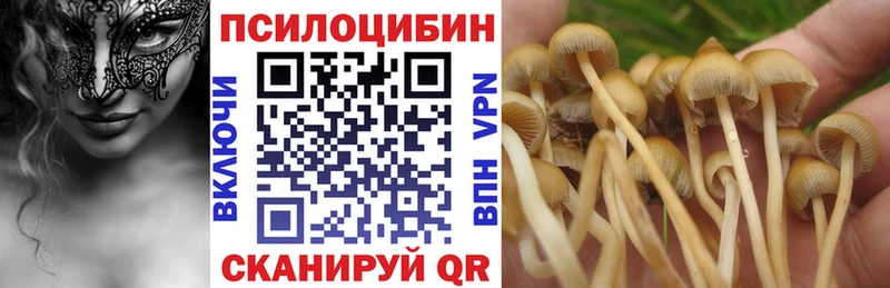 Псилоцибиновые грибы GOLDEN TEACHER  Лукоянов 
